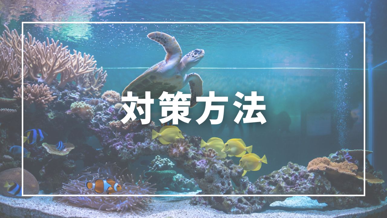 今日からできる根本対策6つ