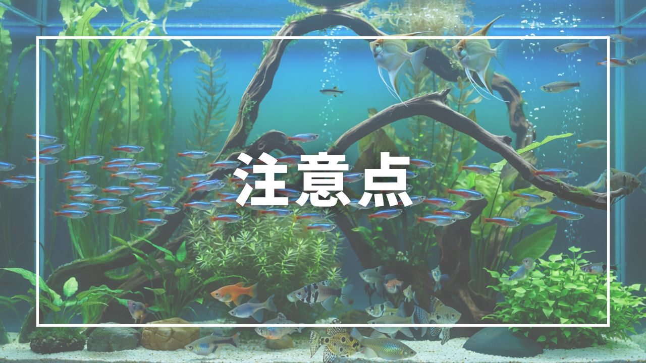 導入前に確認したい注意点3つ