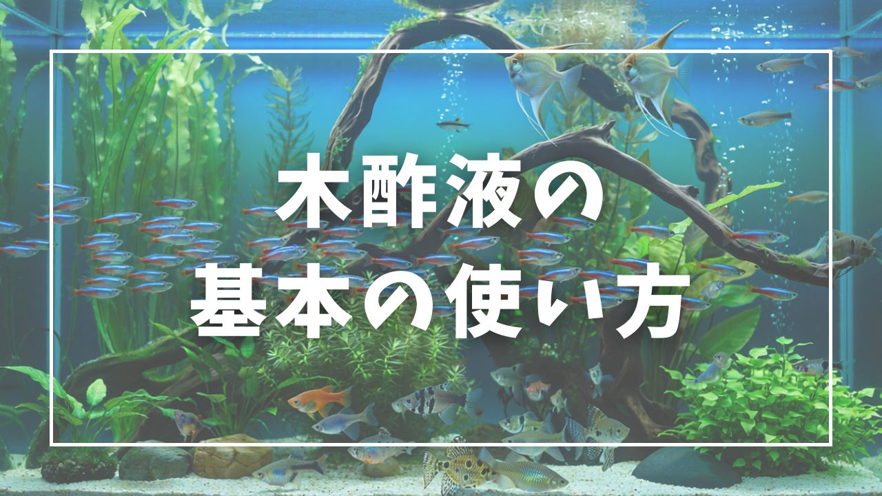 木酢液の基本の使い方