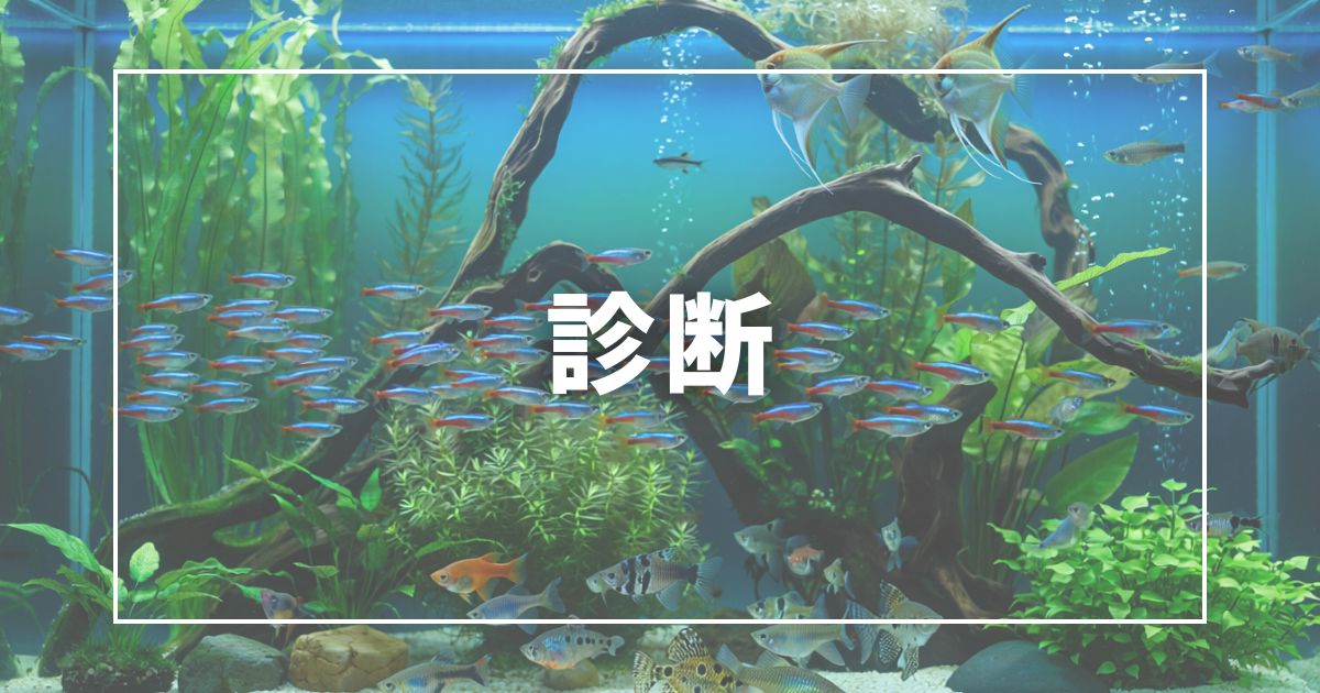 見分けに迷ったら？3ステップ診断