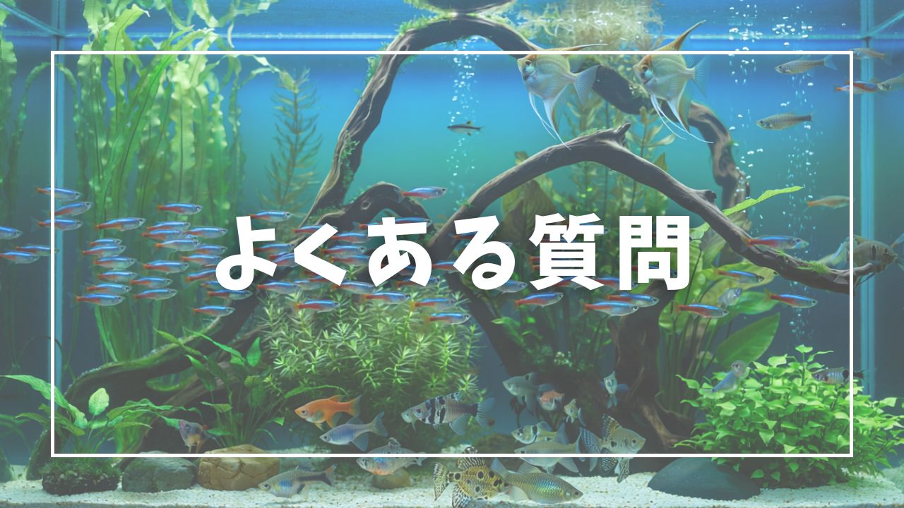木酢液のよくある質問