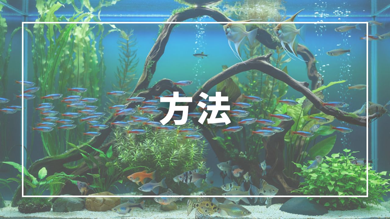 原因別の除去方法