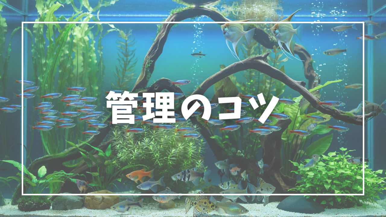 定着を早める管理のコツ3つ