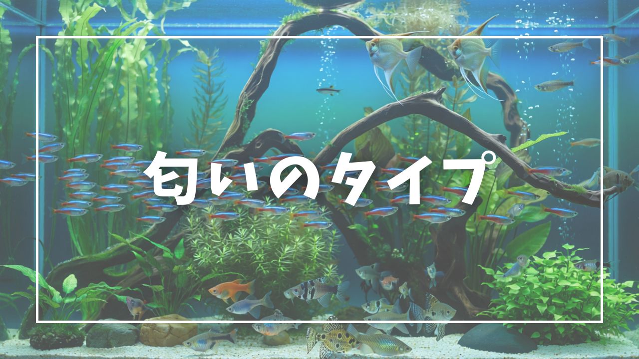 臭いのタイプ別・簡易診断
