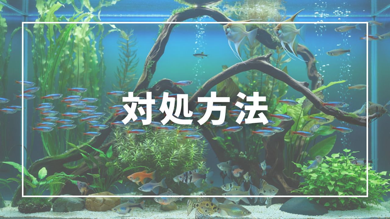 今すぐできる対処法5つ