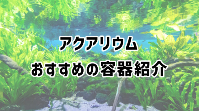 アクアリウムにおすすめの容器と選び方まとめ