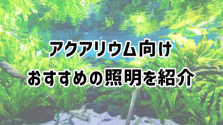 アクアリウムに人気でおすすめの照明を紹介