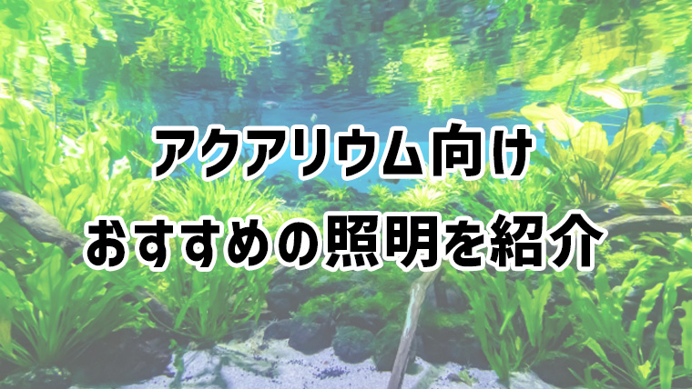 アクアリウムに人気でおすすめの照明を紹介