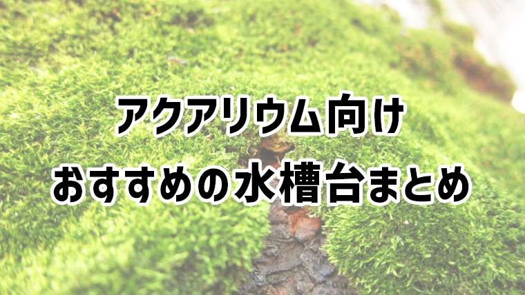 アクアリウムに人気でおすすめの水槽台を紹介