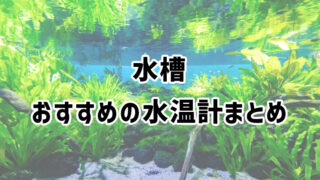 アクアリウムに最適なおすすめの水温計測アイテムを紹介