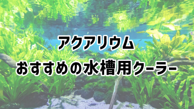 水槽用クーラーの選び方とおすすめ商品を紹介