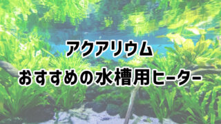 水槽用ヒーターの選び方とおすすめ商品を紹介