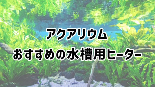 水槽用ヒーターの選び方とおすすめ商品を紹介