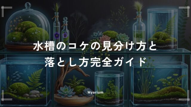 【種類別】水槽のコケの見分け方と落とし方完全ガイド｜茶ゴケ・緑ゴケ・黒ヒゲなど主要5種