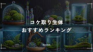 コケ取り生体おすすめランキング7選｜水槽のコケの種類で選ぶ最強の掃除屋