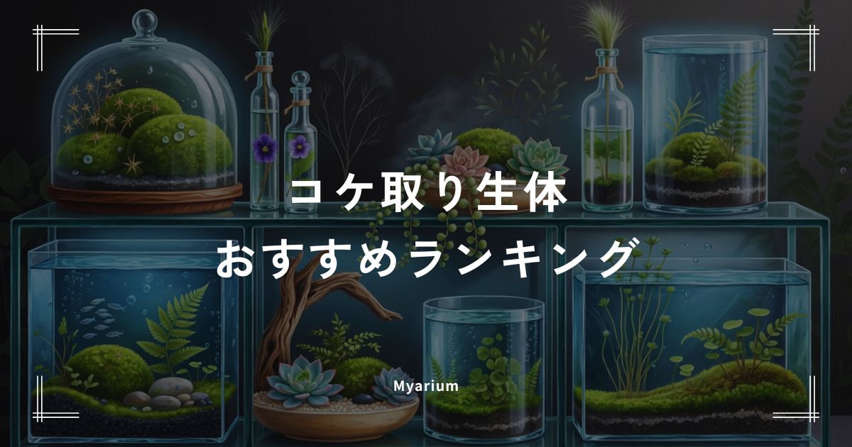 コケ取り生体おすすめランキング7選｜水槽のコケの種類で選ぶ最強の掃除屋