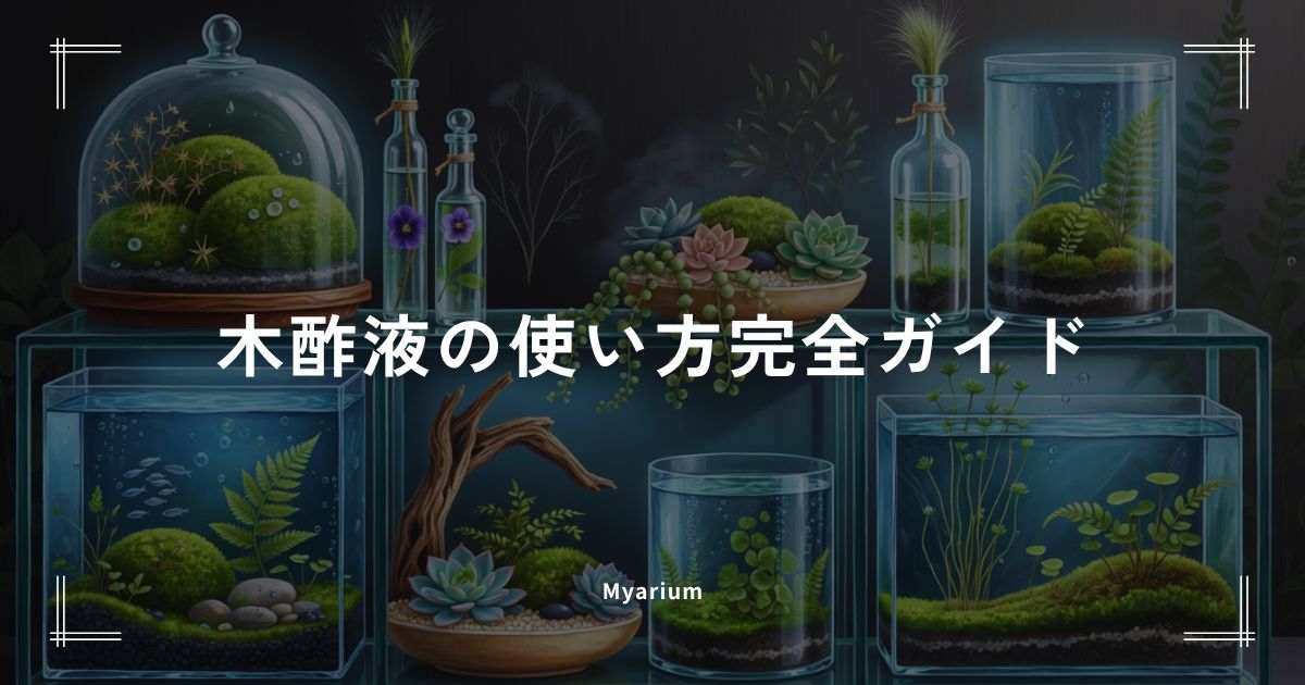 木酢液の使い方完全ガイド｜黒ヒゲコケを枯らす濃度・手順・注意点