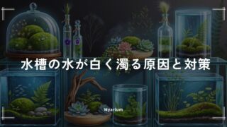 水槽の水が白く濁る原因と対策｜立ち上げ直後に慌てないための基礎知識