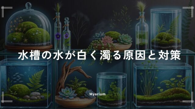 水槽の水が白く濁る原因と対策｜立ち上げ直後に慌てないための基礎知識