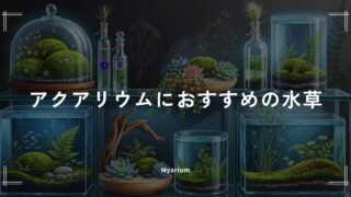 おすすめの水草10選｜初心者も育てやすい人気商品を徹底比較