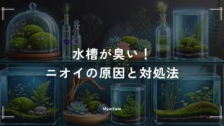 水槽が臭い！自分では気づかないニオイの原因と今すぐできる対処法