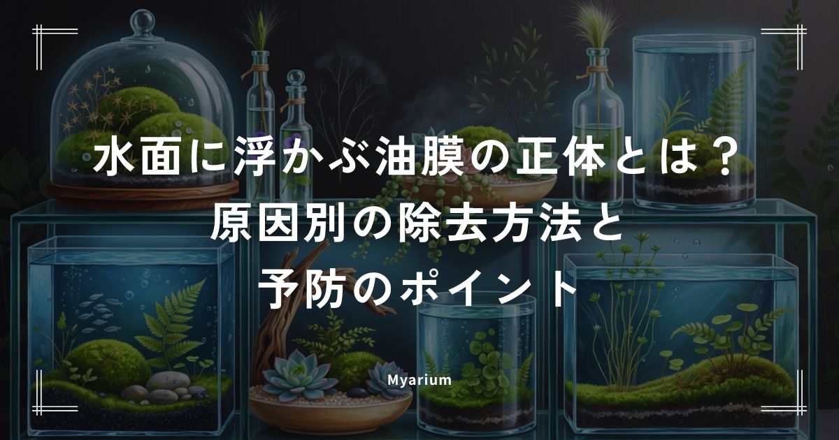 水面に浮かぶ油膜の正体とは？原因別の除去方法と予防のポイント