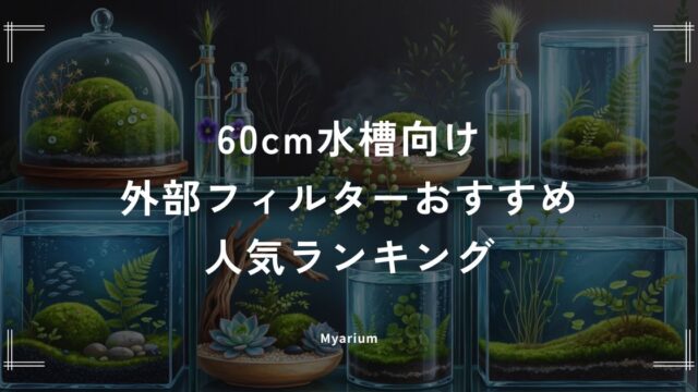 外部フィルターおすすめ人気ランキング｜60cm水槽向けの静音・高性能モデルを徹底比較
