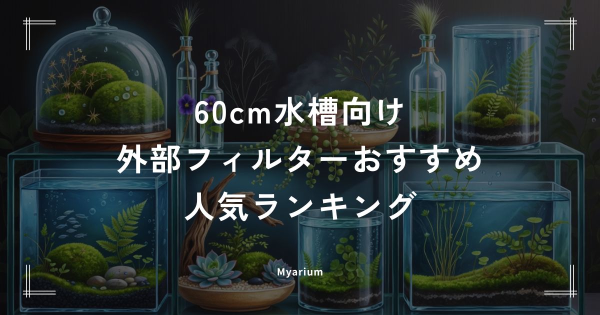 外部フィルターおすすめ人気ランキング｜60cm水槽向けの静音・高性能モデルを徹底比較