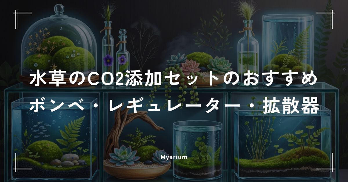 水草のCO2添加セットのおすすめ｜初心者向けボンベ・レギュレーター・拡散器の人気商品