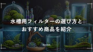 水槽用フィルターの選び方とおすすめ商品を紹介｜外掛け・外部・上部・スポンジ式を比較