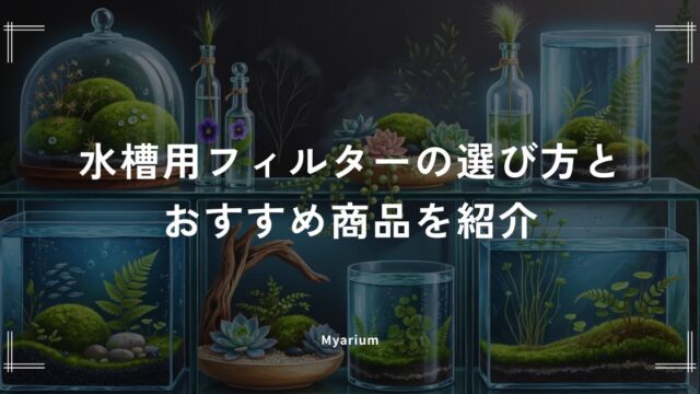 水槽用フィルターの選び方とおすすめ商品を紹介｜外掛け・外部・上部・スポンジ式を比較