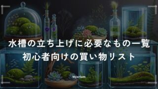 水槽の立ち上げに必要なもの一覧｜初心者向けの買い物リストと予算の目安