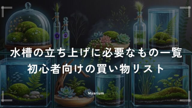 水槽の立ち上げに必要なもの一覧｜初心者向けの買い物リストと予算の目安