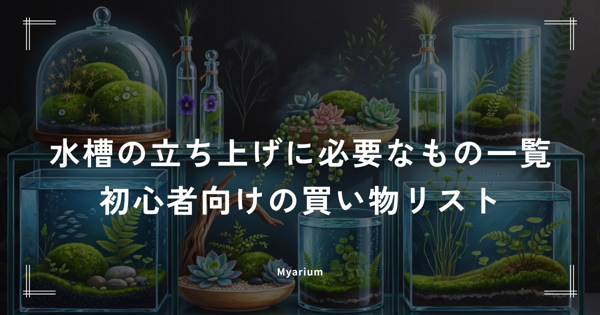 水槽の立ち上げに必要なもの一覧｜初心者向けの買い物リストと予算の目安