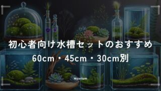 初心者向け水槽セットのおすすめ｜60cm・45cm・30cmの人気スターターセットを比較