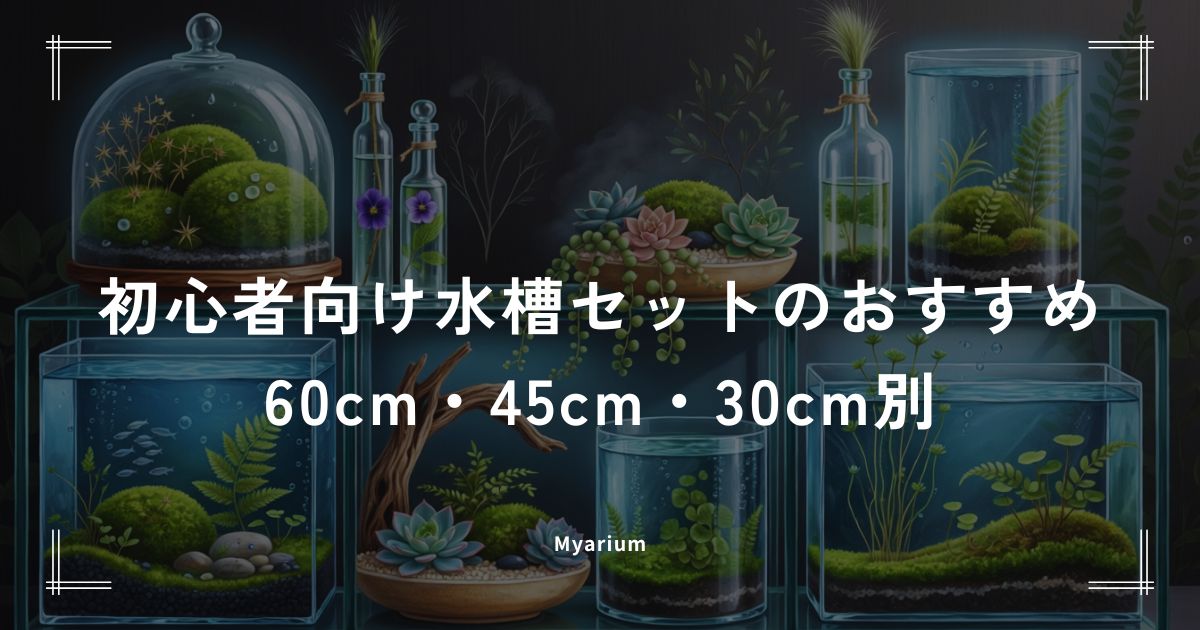 初心者向け水槽セットのおすすめ｜60cm・45cm・30cmの人気スターターセットを比較